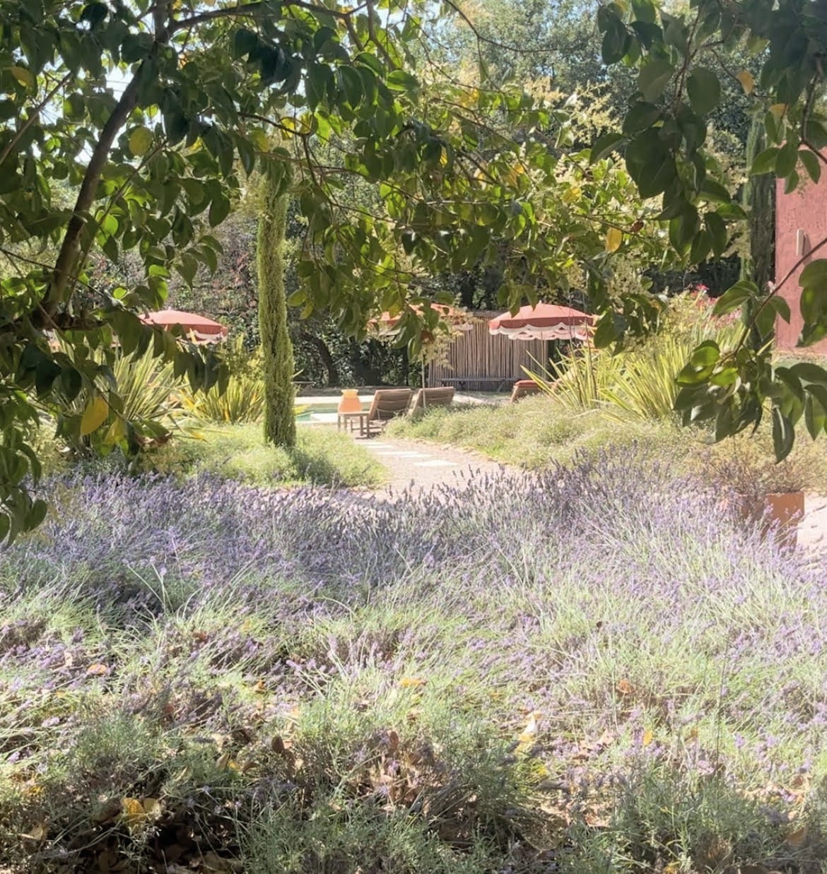 20 000 m² de Silence : Le jardin comme médium vivant