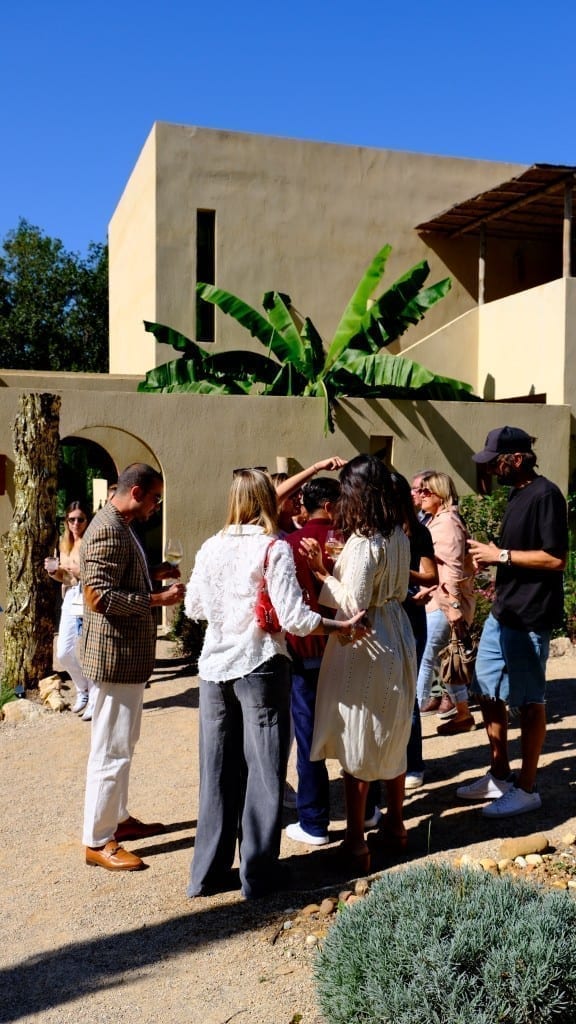 Les Sessions Toile Blanche — soirée en plein air