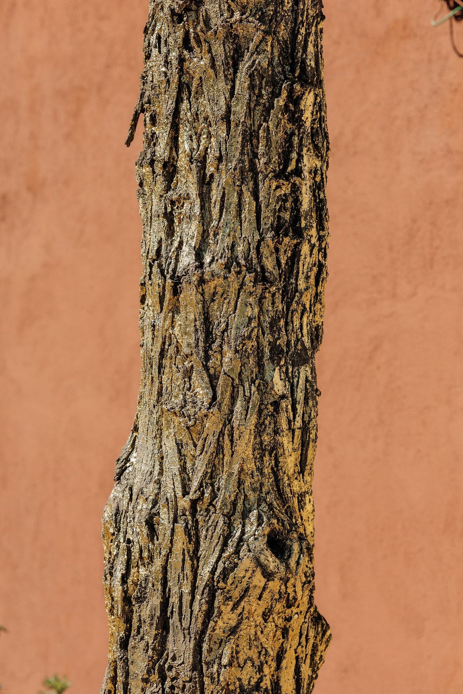 Art à Toile Blanche