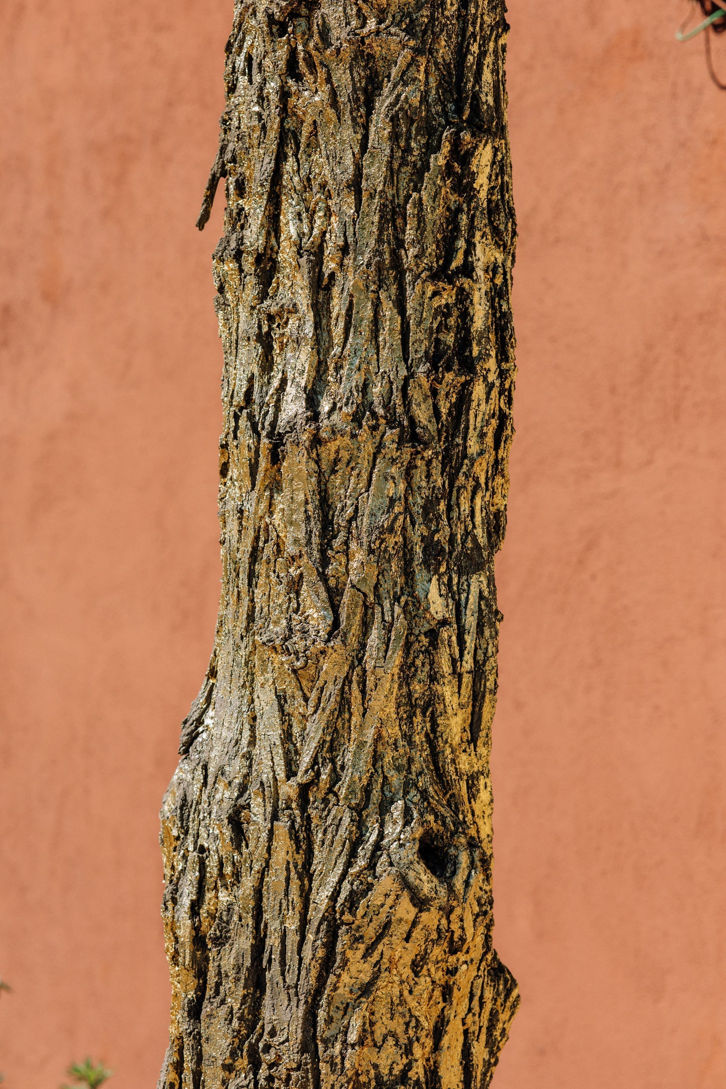 Jardins de sculptures de Toile Blanche