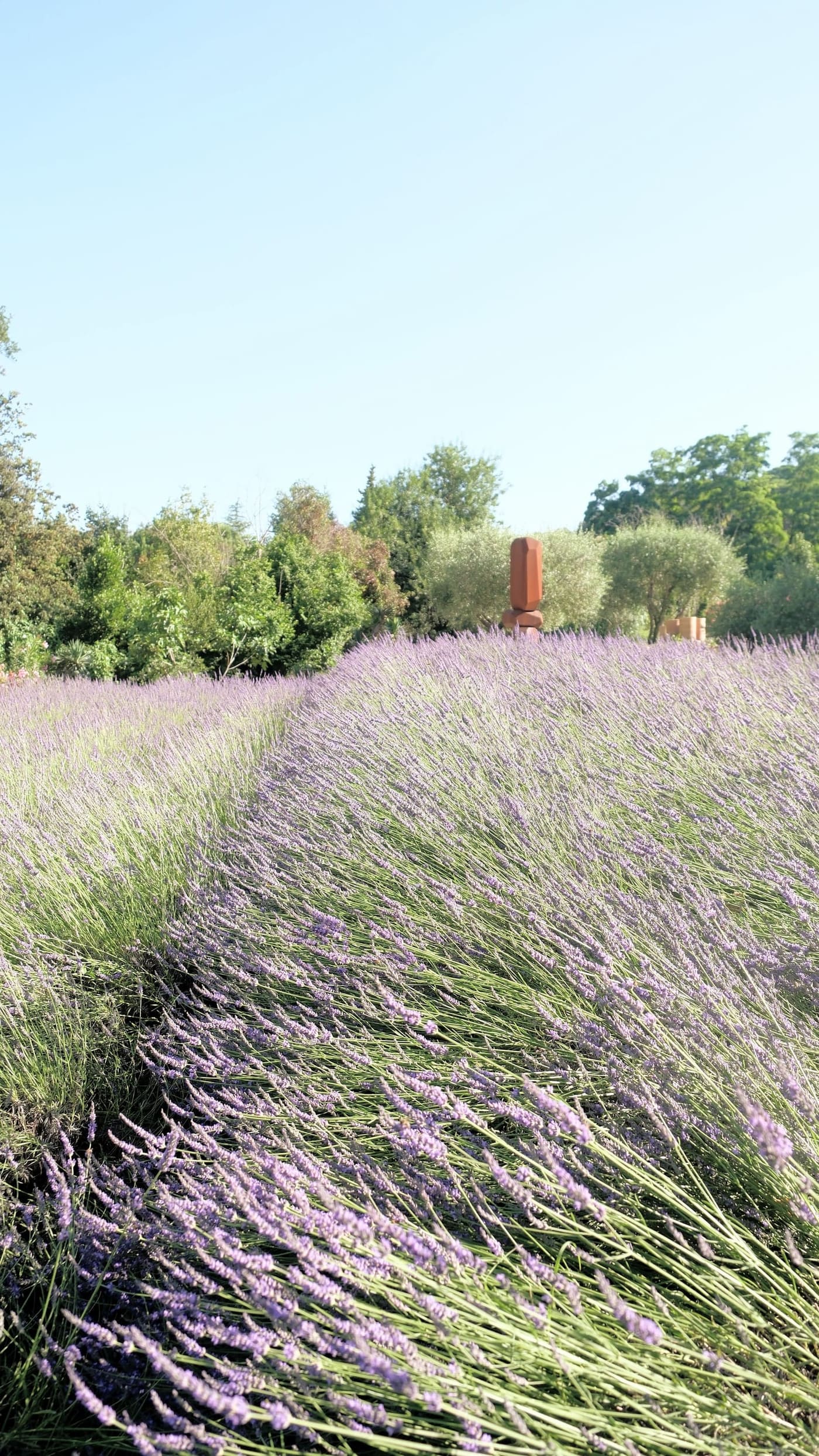 Morning at Toile Blanche