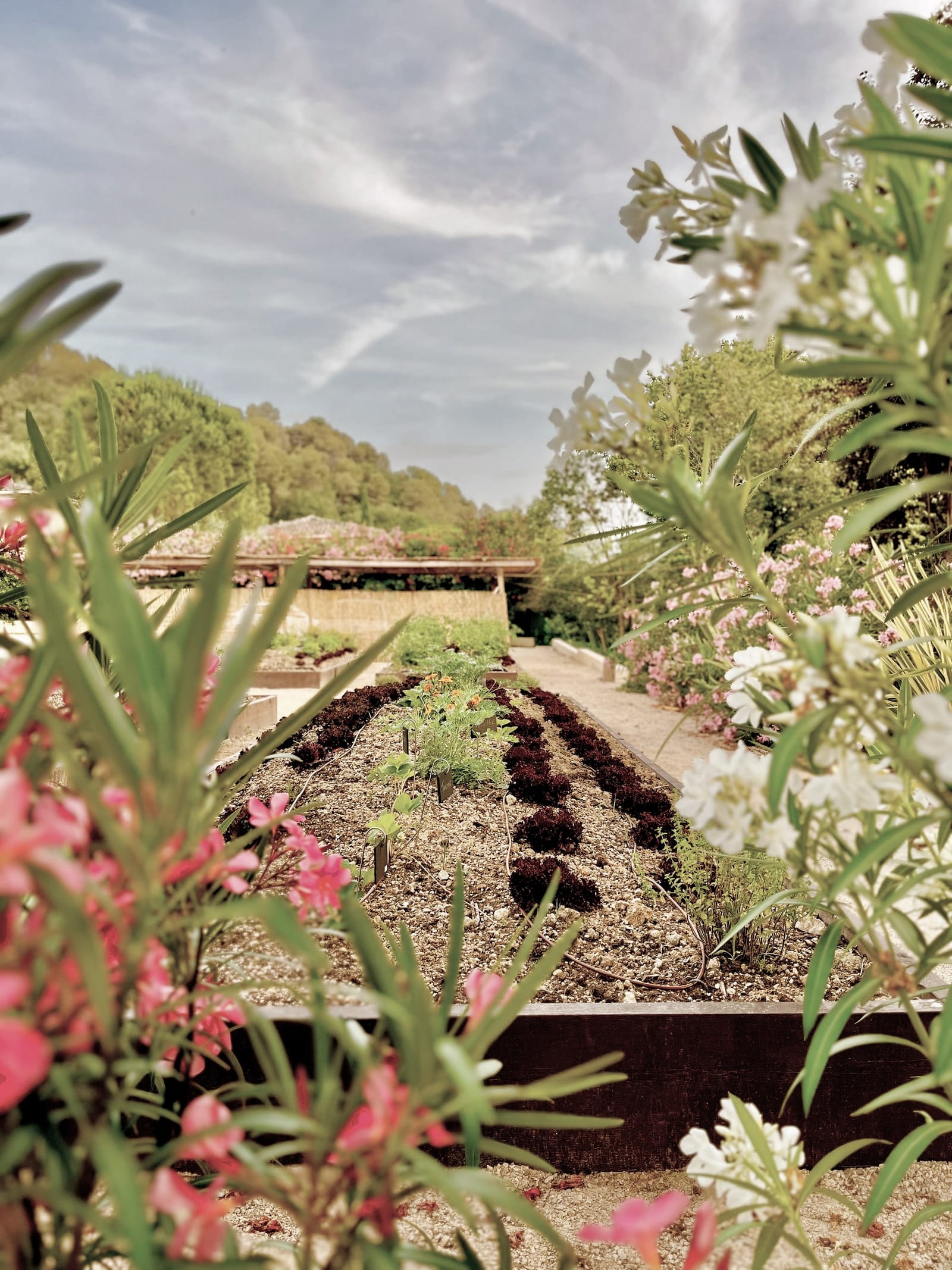 Le jardin à Toile Blanche