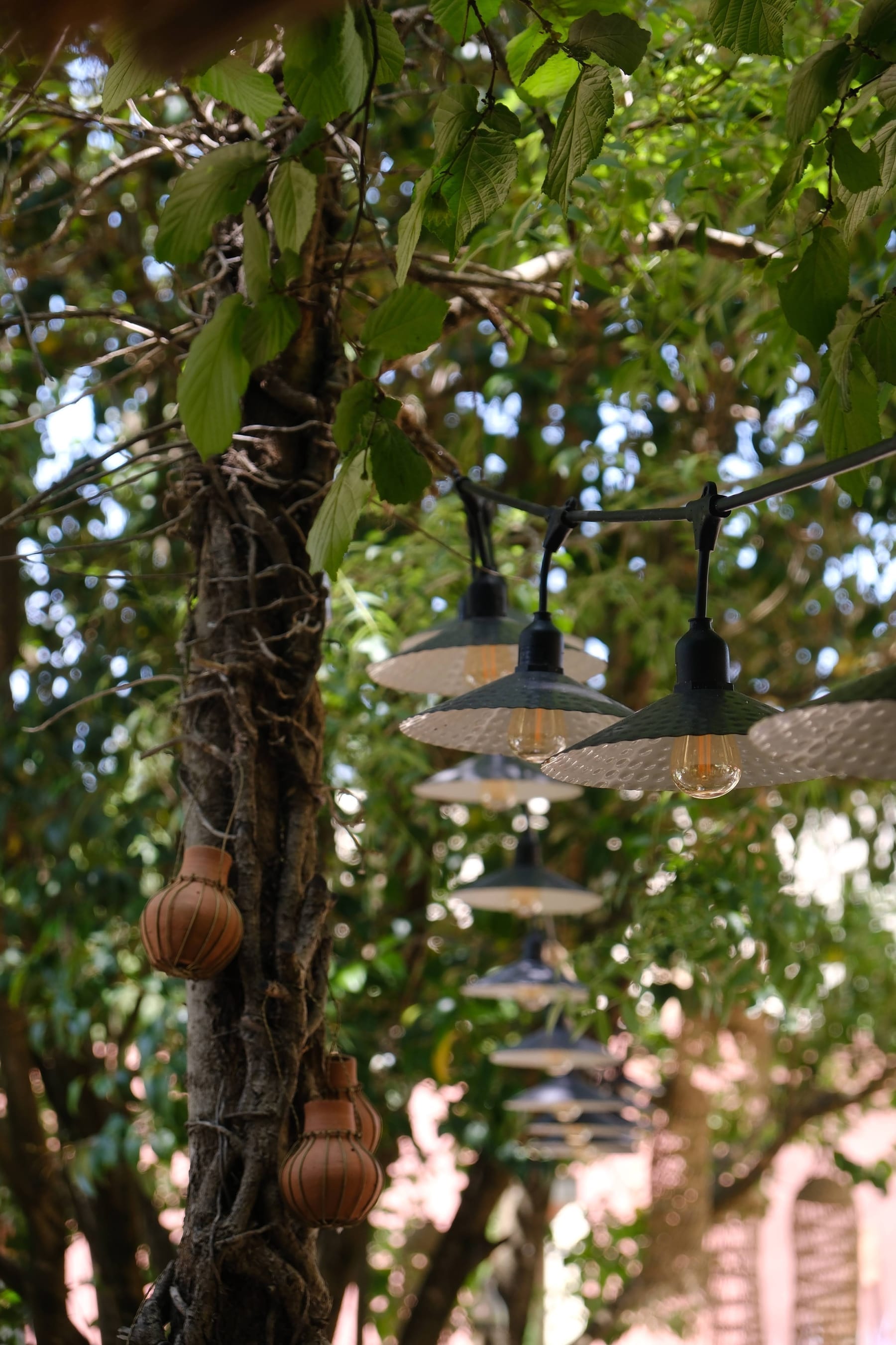 Atmosphere at Toile Blanche